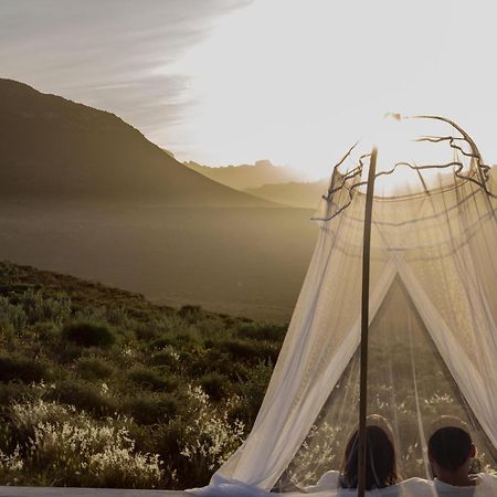 Simbavati Cederberg Ridge Villa Clanwilliam Eksteriør billede
