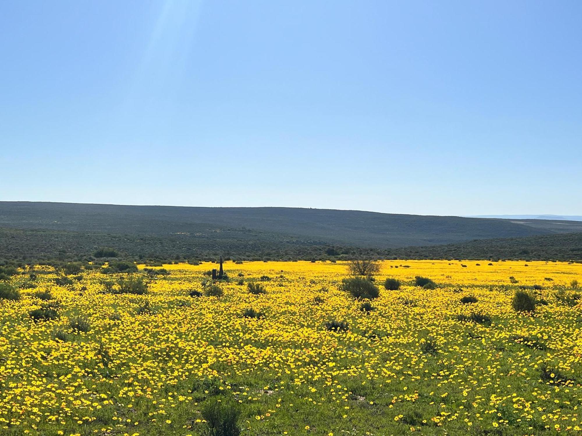 Simbavati Cederberg Ridge Villa Clanwilliam Eksteriør billede