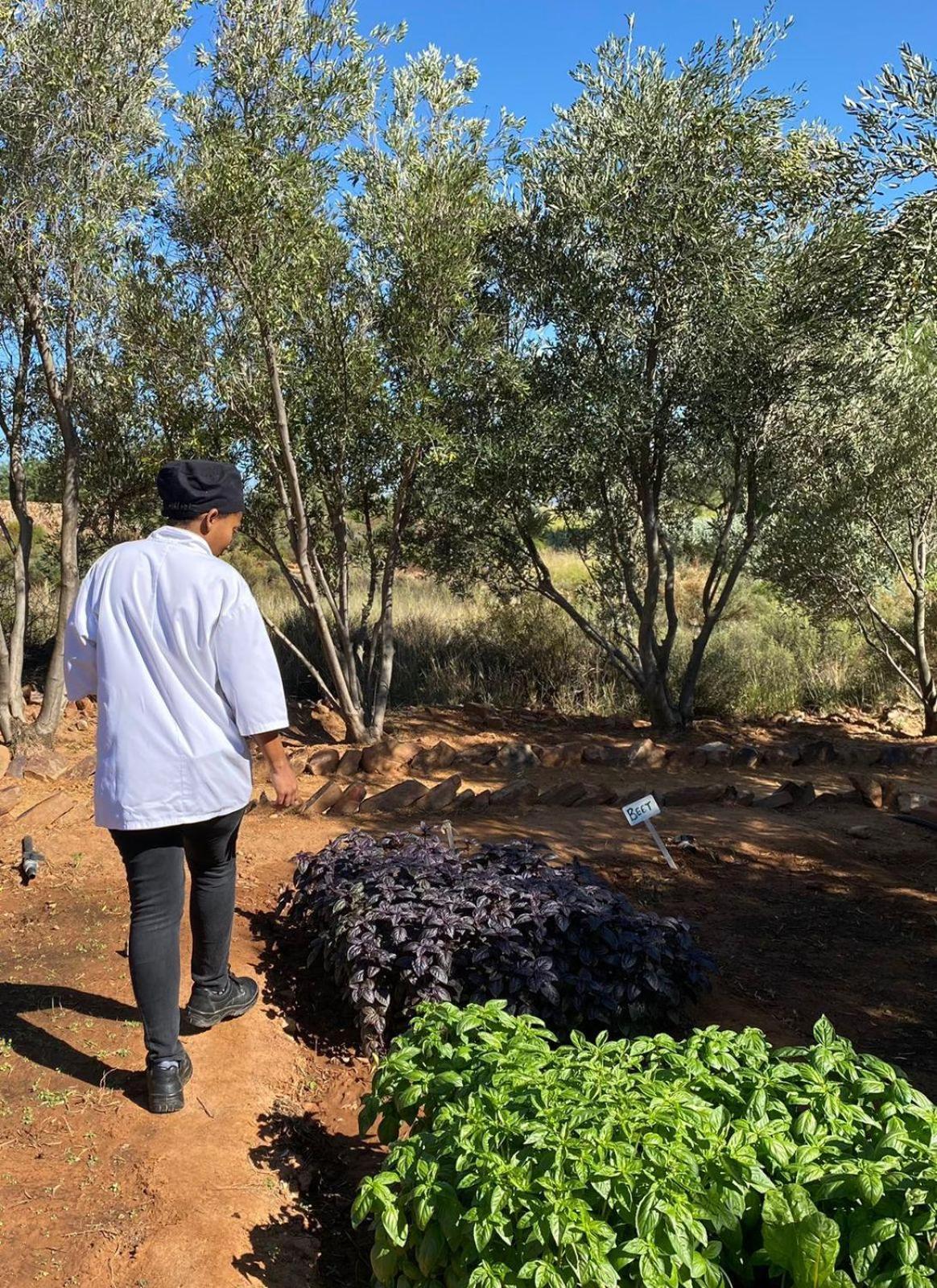 Simbavati Cederberg Ridge Villa Clanwilliam Eksteriør billede