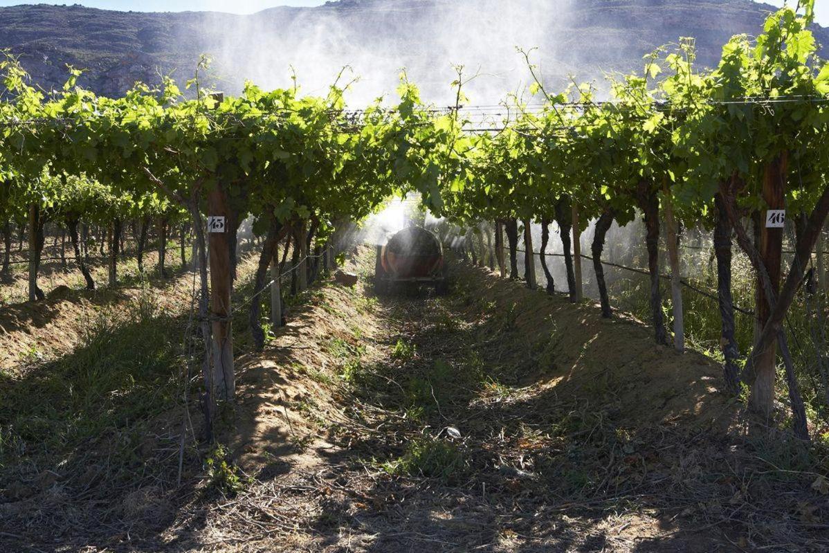 Simbavati Cederberg Ridge Villa Clanwilliam Eksteriør billede