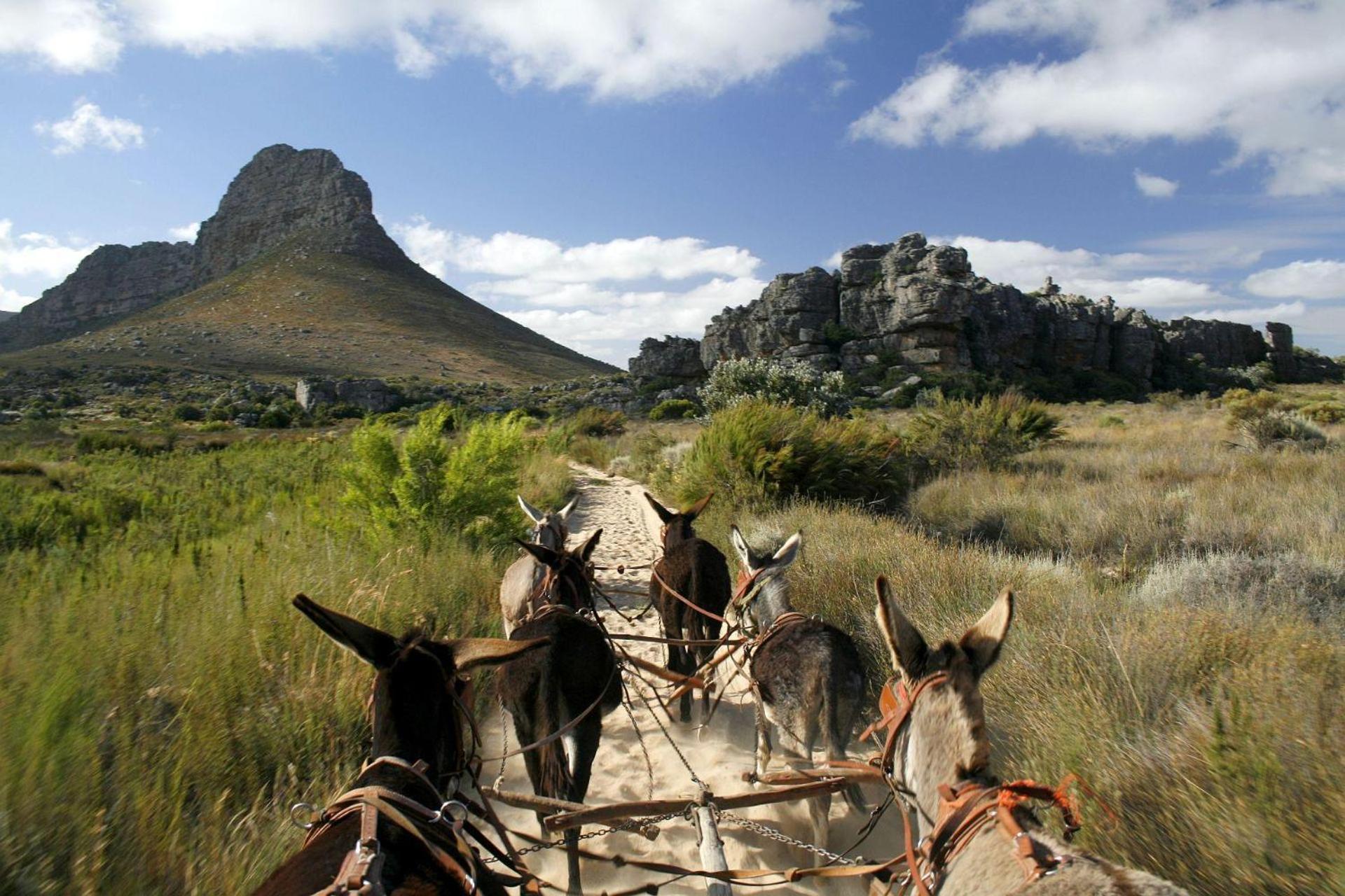 Simbavati Cederberg Ridge Villa Clanwilliam Eksteriør billede