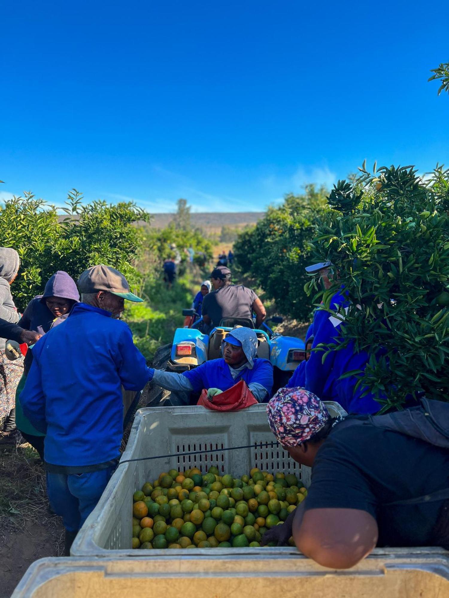 Simbavati Cederberg Ridge Villa Clanwilliam Eksteriør billede